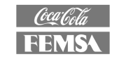 CocaCola_Femsa_master_marketing