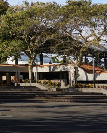 Menu_cards_donar_incae