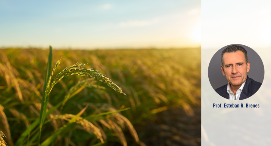 Esteban R. Brenes INCAE 2023